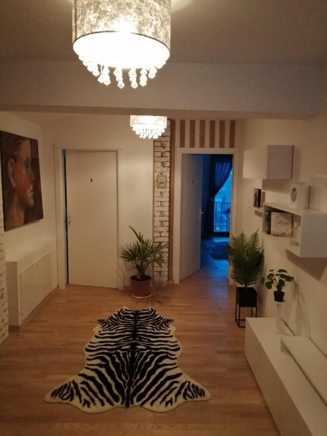 Pensiunea Timis Borşa Zewnętrze zdjęcie