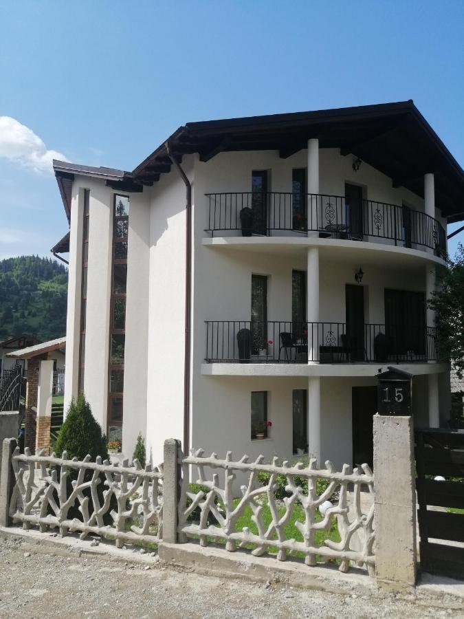 Pensiunea Timis Borşa Zewnętrze zdjęcie