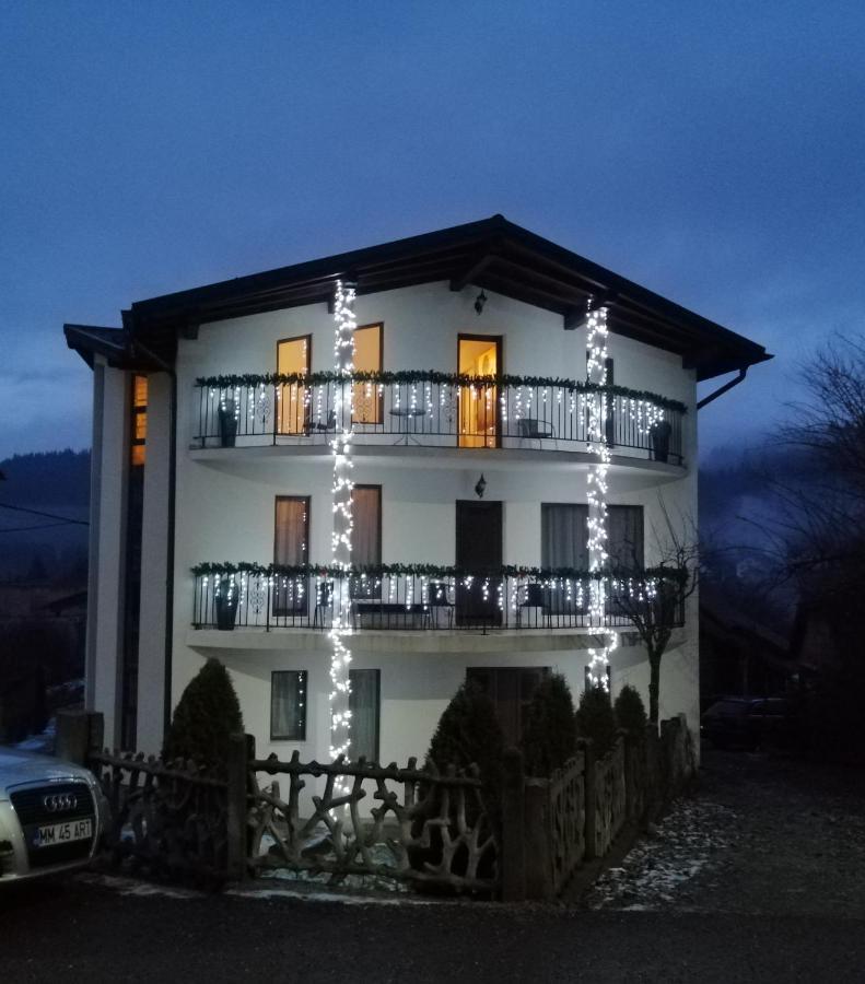 Pensiunea Timis Borşa Zewnętrze zdjęcie