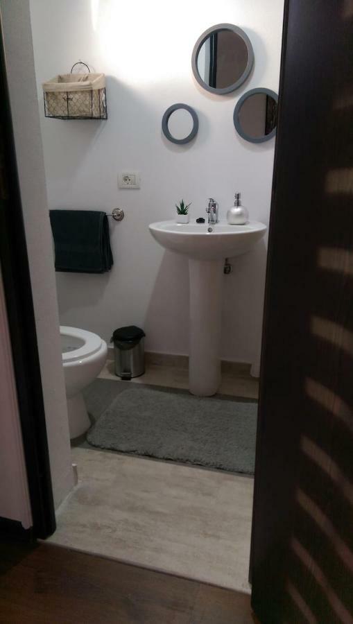 Pensiunea Timis Borşa Zewnętrze zdjęcie
